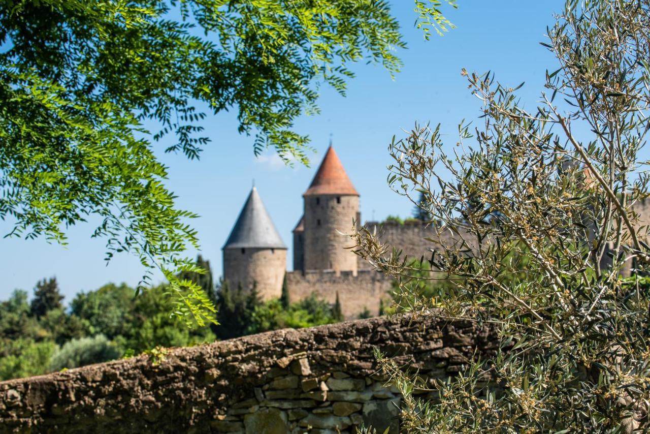 L'Ecrin De La Cite, Coeur De Vignes - Vivez Une Experience Inoubliable ! Carcassonne Exterior photo