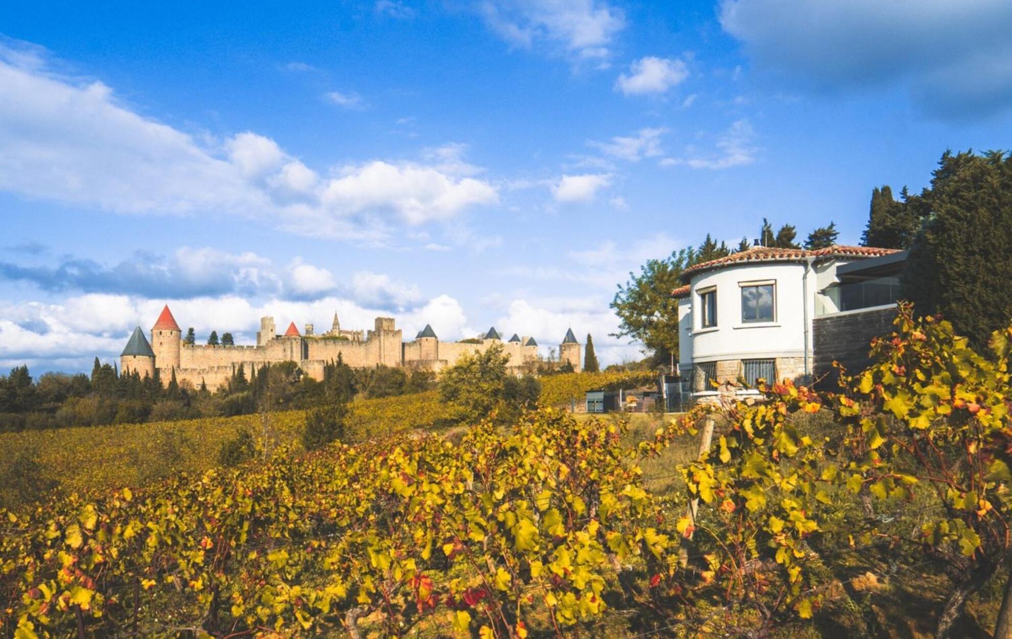 L'Ecrin De La Cite, Coeur De Vignes - Vivez Une Experience Inoubliable ! Carcassonne Exterior photo